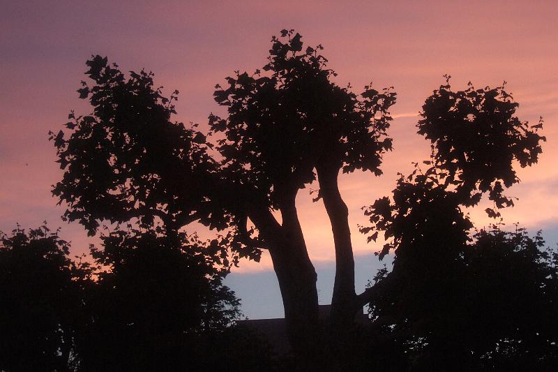 2011-05- (1786).JPG - Dies ist keine Fotomontage: Am dritten Abend erlebten wir ein rosarot-blaues Wetterphänomen